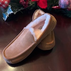 Mens UGG Beige Slippers